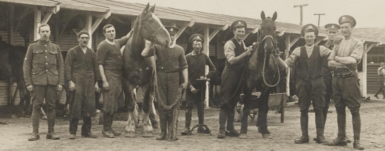 Irish Draught Horse before the 18th Century