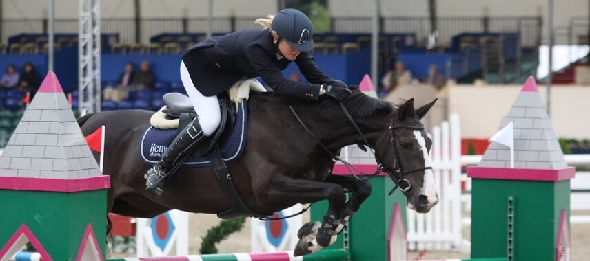The Selle Francais is another popular sport horse breed that originated in France