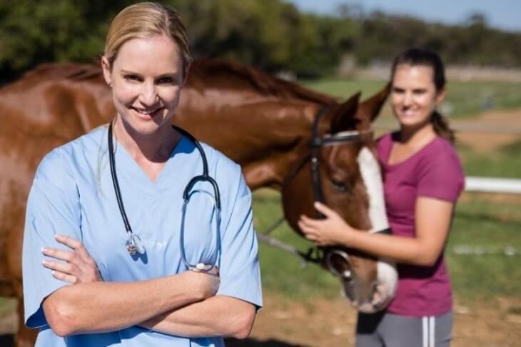 Pre-Purchase Veterinary inspection before buying a horse